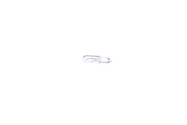 AMPUL - PURE LİGHT - 12 V - - - 1.2 W - W2X4.6D