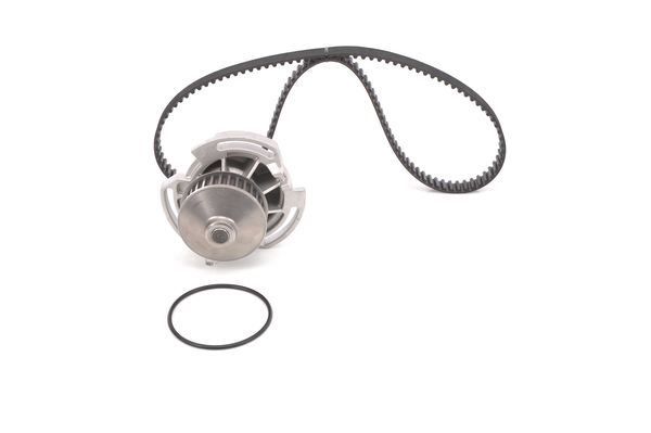 SU POMPALI TRİGER SETİ WASSERPUMPEN-SET