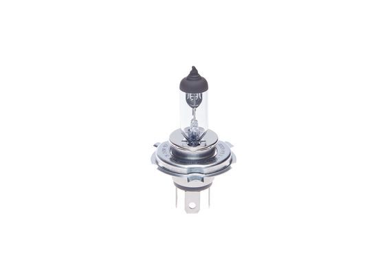 AMPUL - PURE LİGHT - 12 V - H19 - 60/55 W - PU43T-3