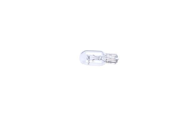 AMPUL - TRUCKLİGHT - 24 V - - - 2 W - W2.1X9.5D