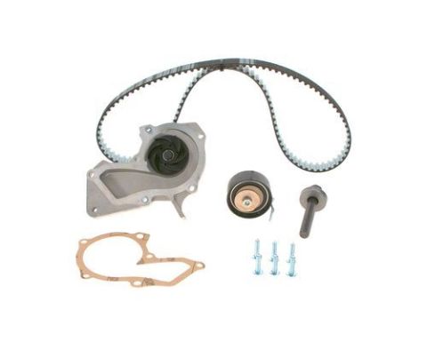 SU POMPALI TRİGER SETİ WASSERPUMPEN-SET