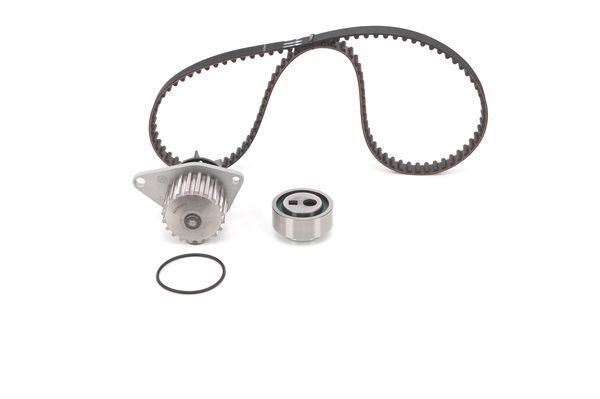 SU POMPALI TRİGER SETİ WASSERPUMPEN-SET