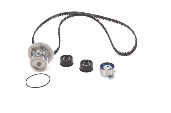 SU POMPALI TRİGER SETİ WASSERPUMPEN-SET