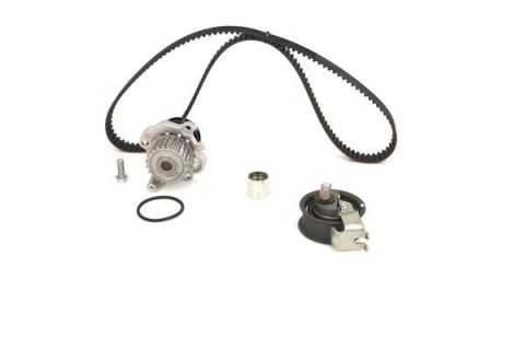 SU POMPALI TRİGER SETİ WASSERPUMPEN-SET