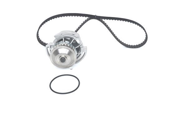 SU POMPALI TRİGER SETİ WASSERPUMPEN-SET